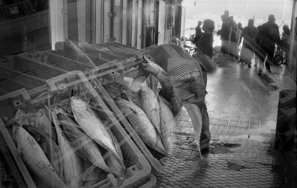 Рыбный рынок .