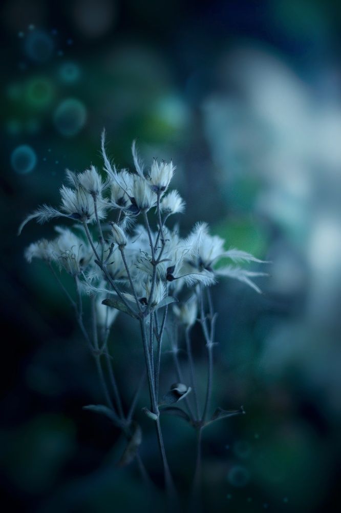 Предчувствие счастья