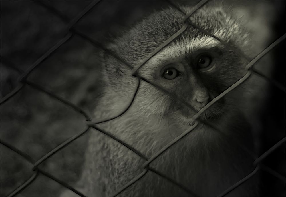 Photograph by Mwango Kasase
