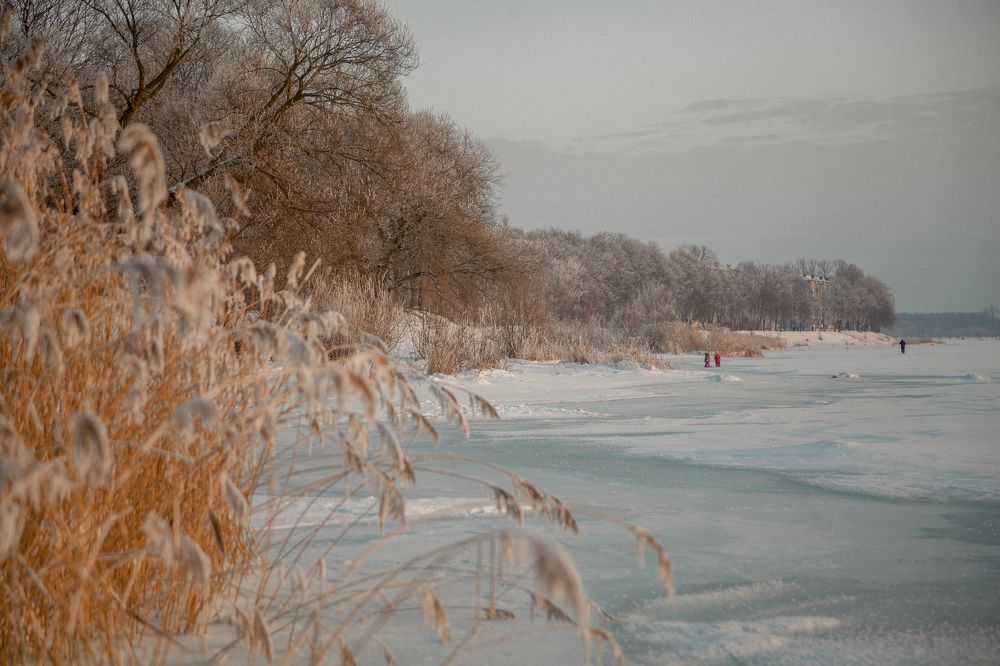 Photograph by Janetta Sereda