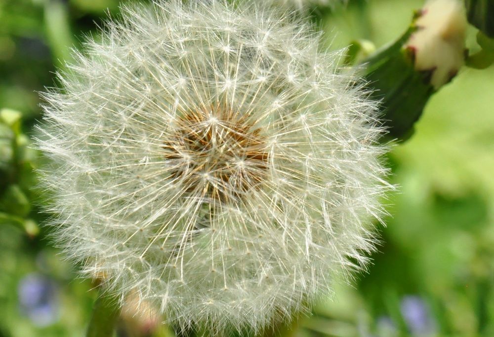 Photograph by Валерия Перфильева