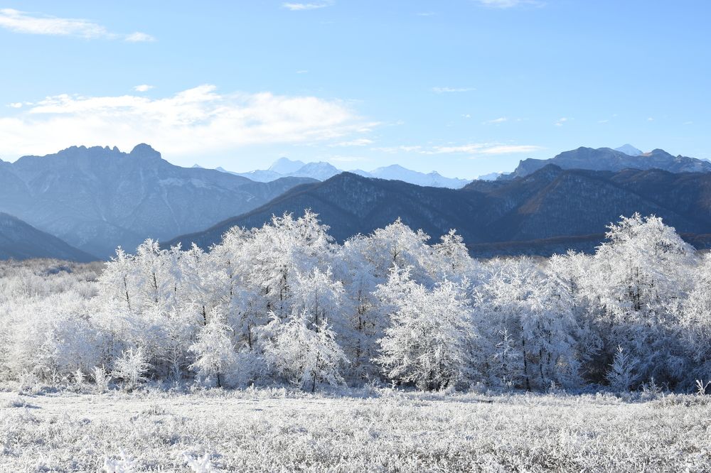 Зимний пейзаж