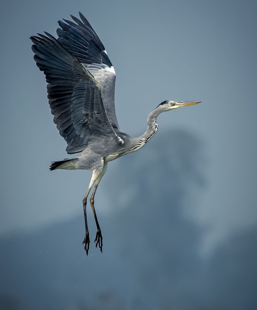 Photograph by Md. Mehedi Hassan