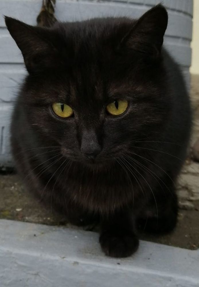 Photograph by Мила