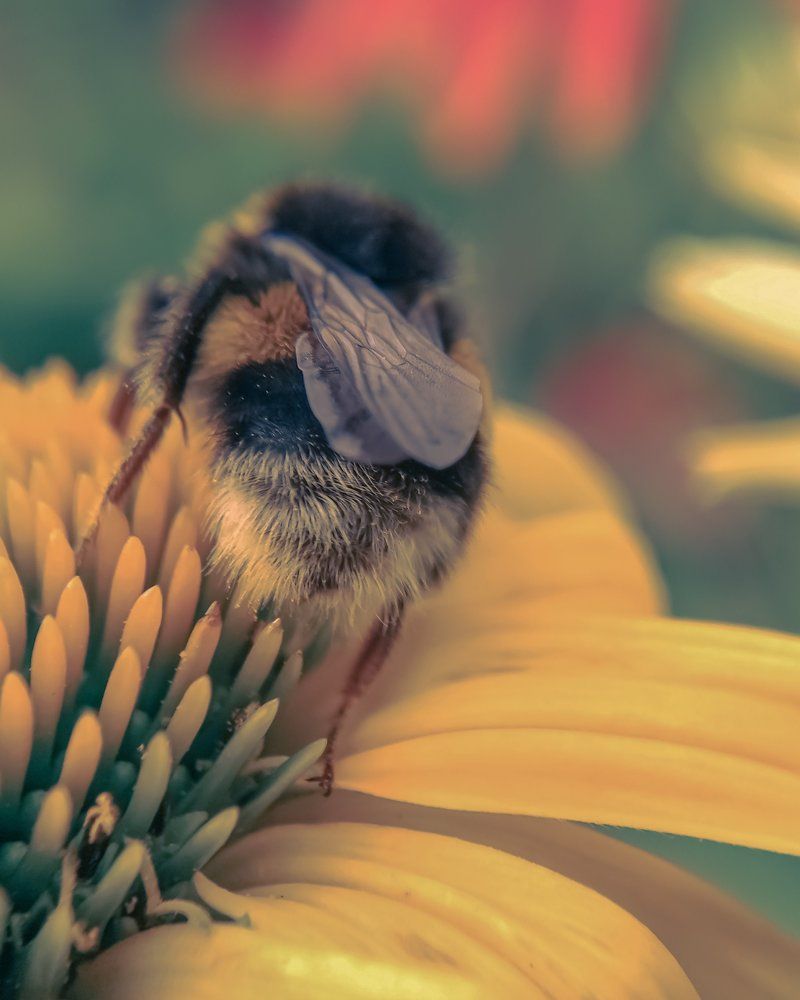 Photograph by Елена Новикова