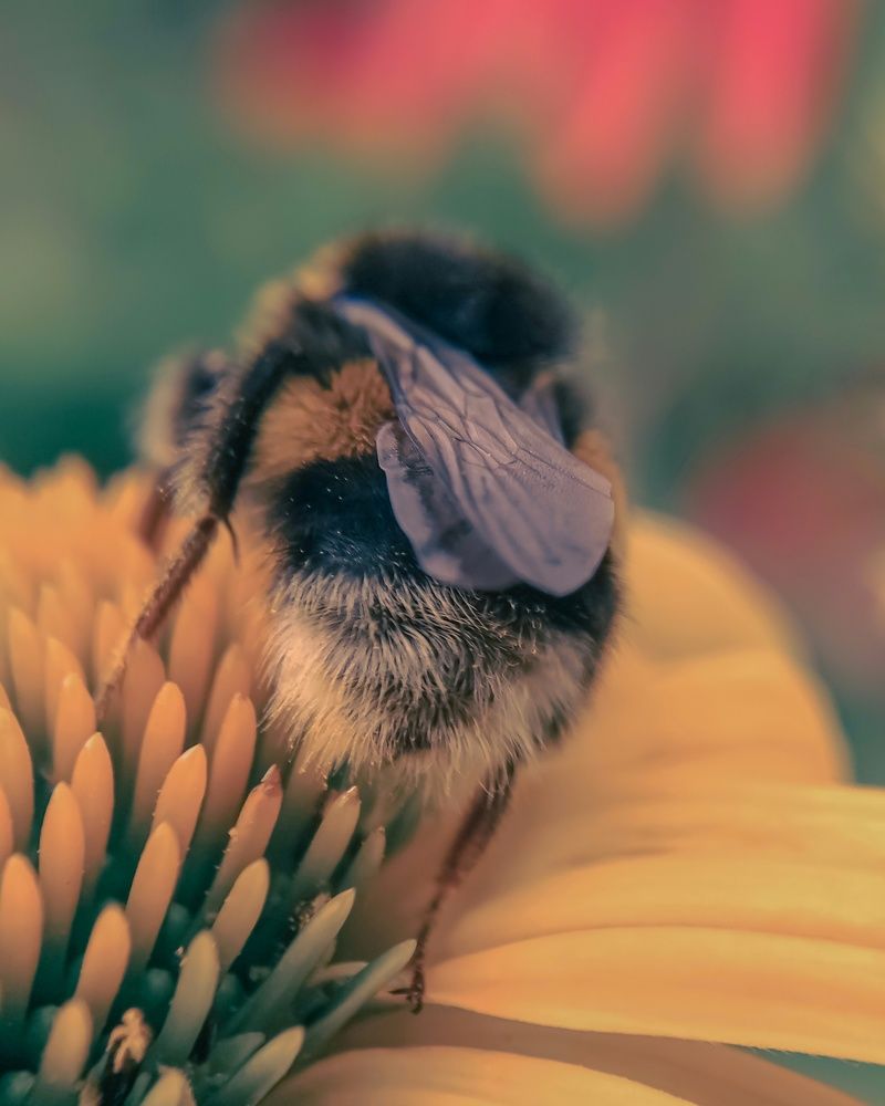 Photograph by Елена Новикова