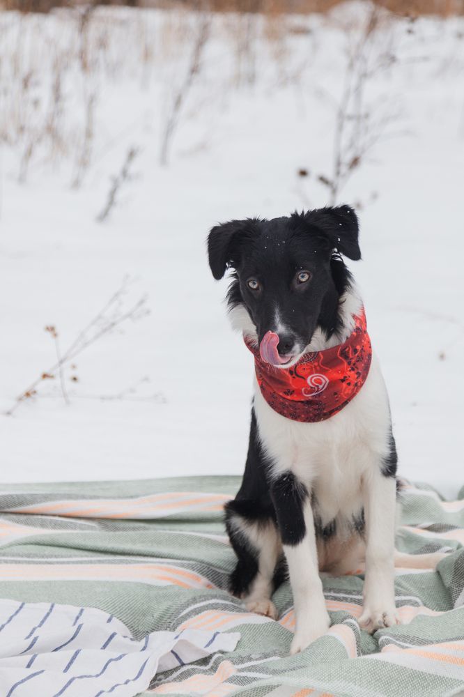 Photograph by Тамара Романенкова