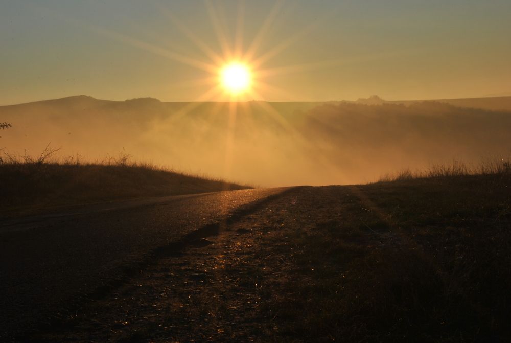 Photograph by Ciornei Simona Maria