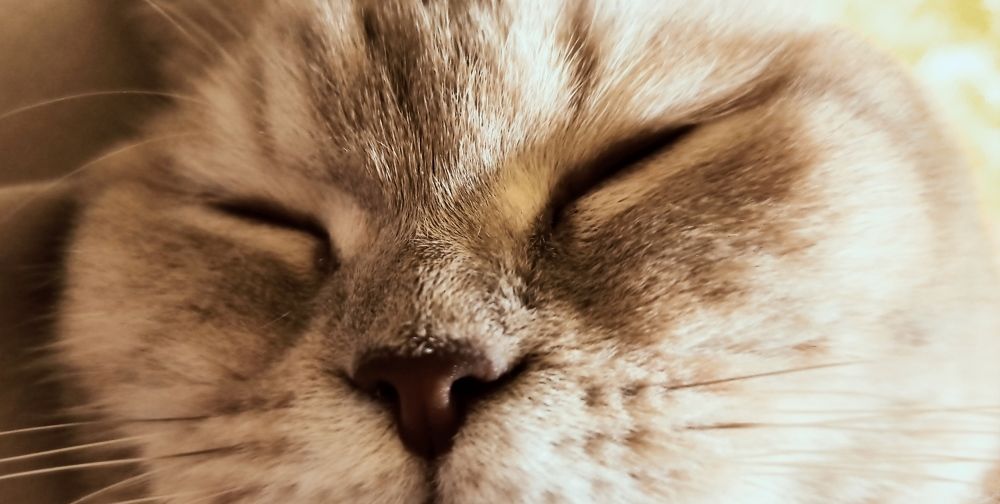 Photograph by Ольга Перевозчикова