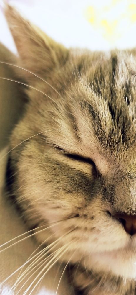 Photograph by Ольга Перевозчикова