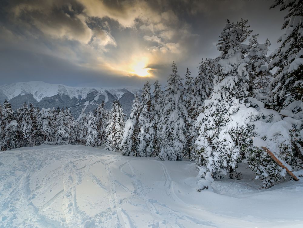 Photograph by Валерий Одинцов