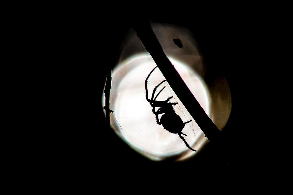 Photograph by Андрей Зуев