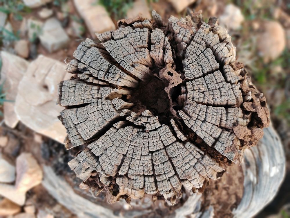 Photograph by Abderrahim Choukri