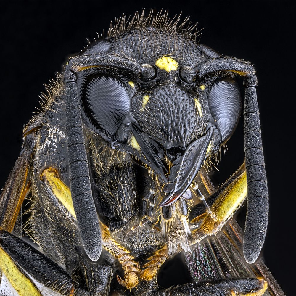 Photograph by Сергей Федоренко