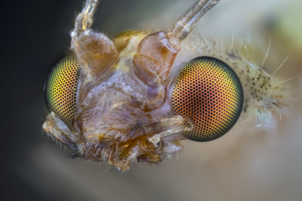 Photograph by Сергей Федоренко