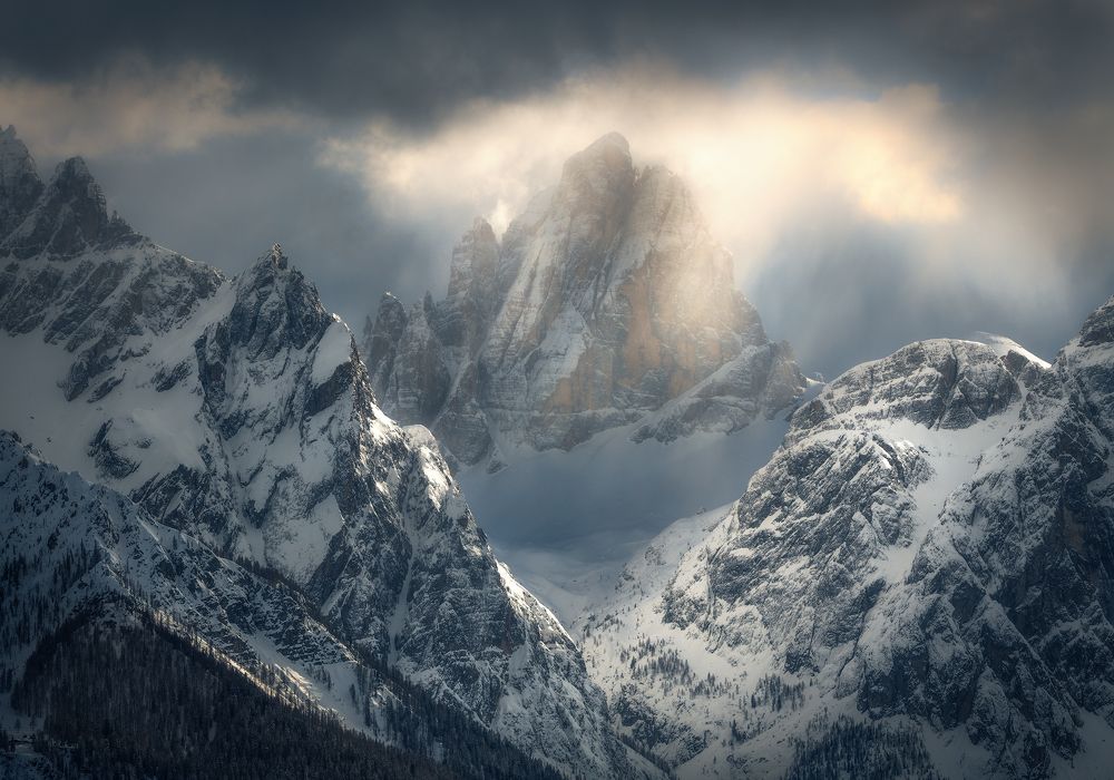 Photograph by  Ellis