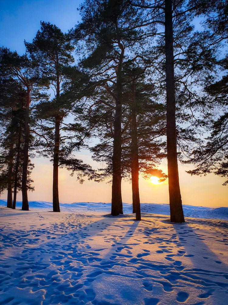 Зимний закат.