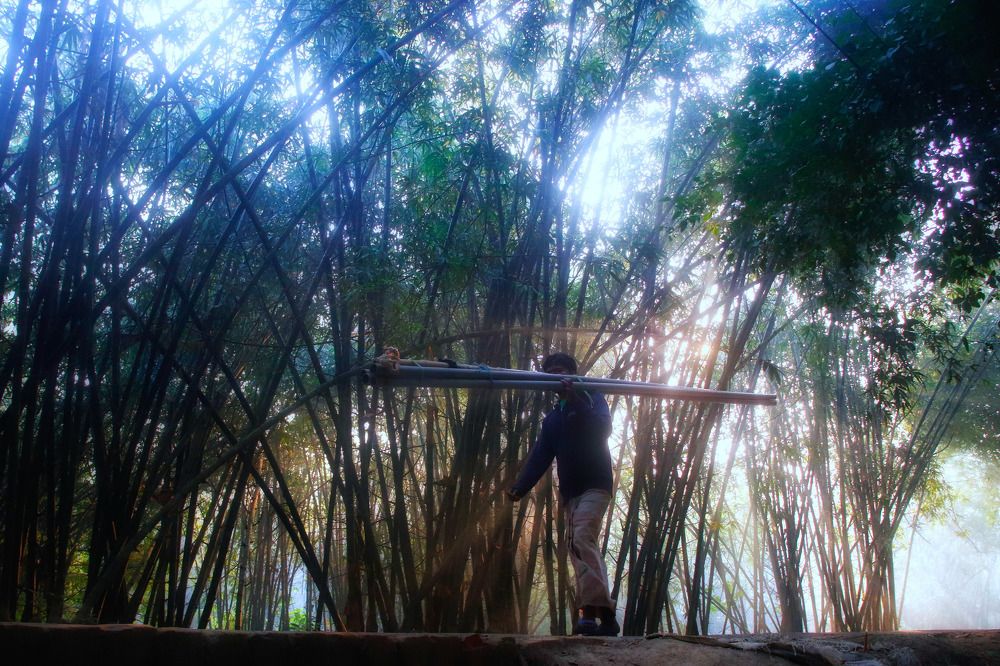 Photograph by Rubaiath hossain siddique