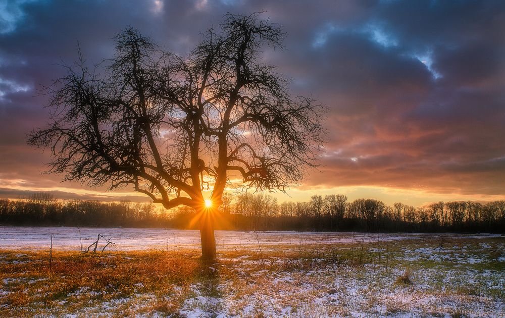 Photograph by Martin Kucera