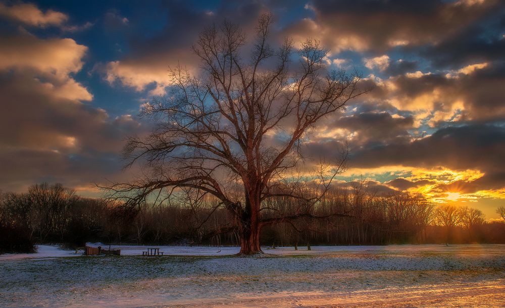 Photograph by Martin Kucera