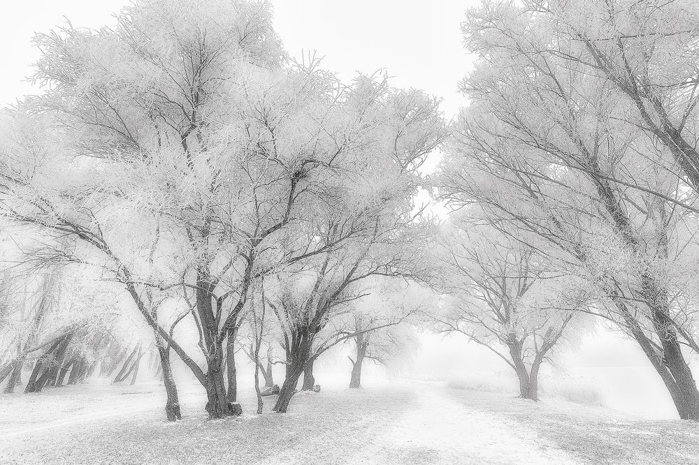 Photograph by Martin Kucera