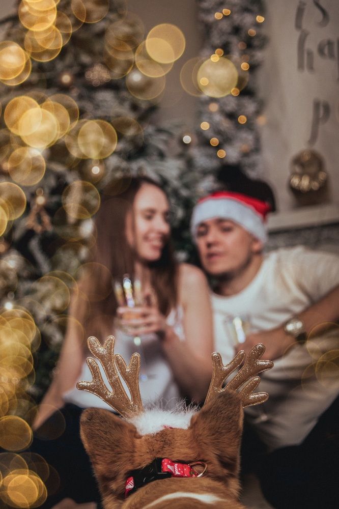 Photograph by Olga Nebelskaya