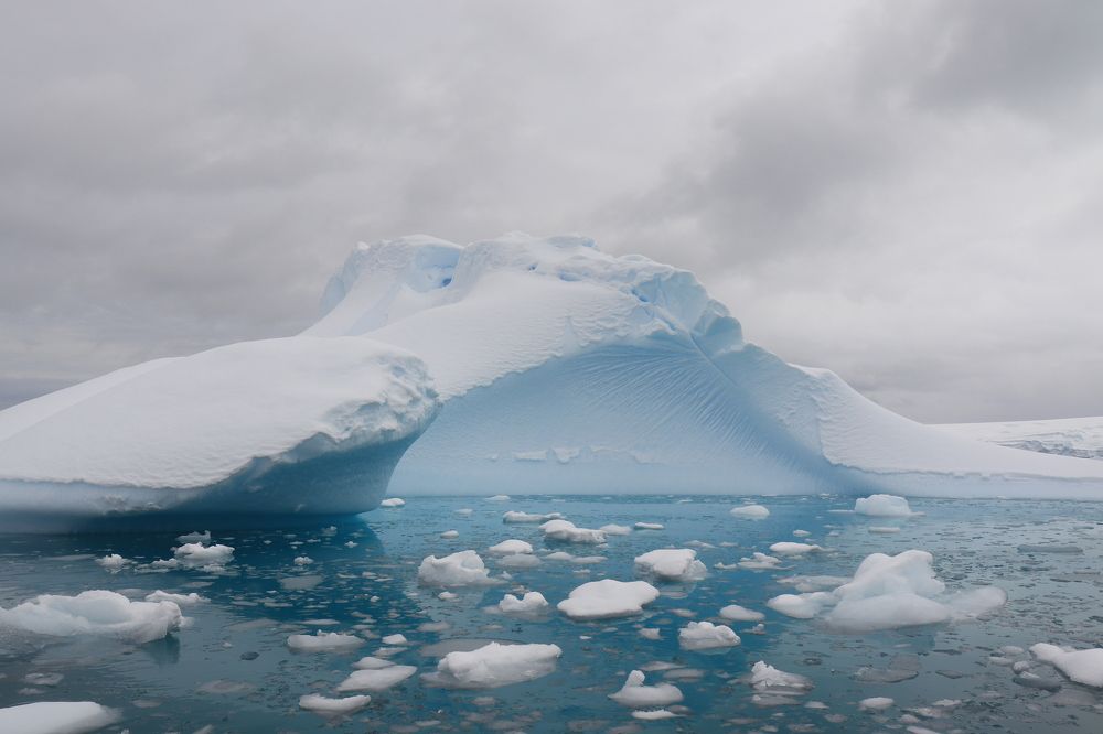 Вдохновения Антарктиды