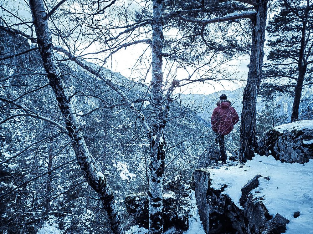 Photograph by Ivo Machado