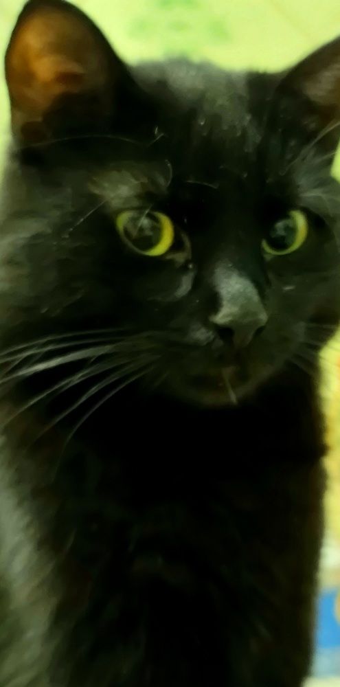 Photograph by Сергей Мамалюк