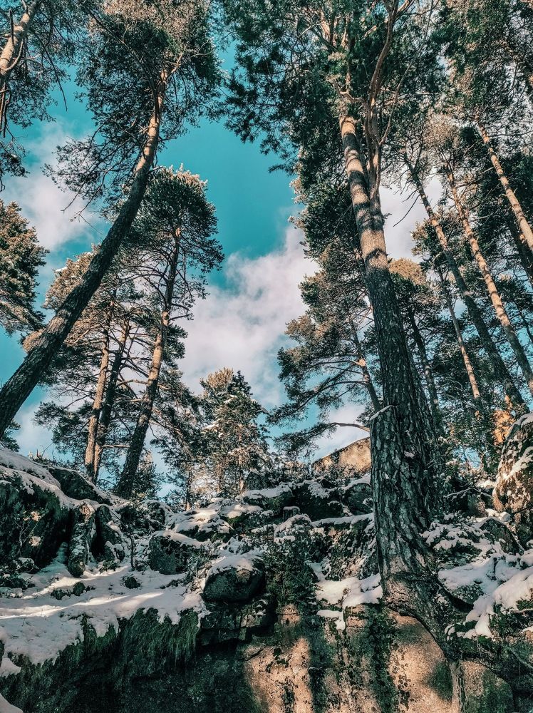 Photograph by Ivo Machado