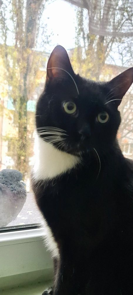 Photograph by Сергей Мамалюк