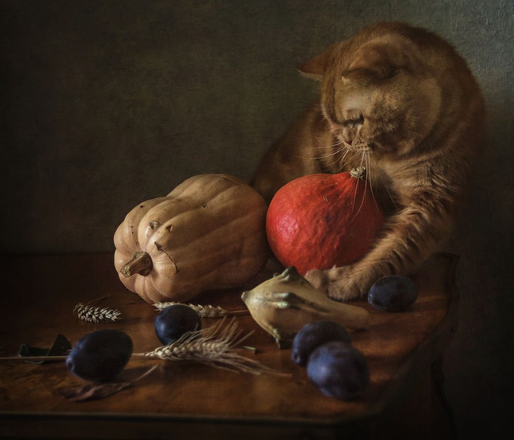 Photograph by Анна Петина