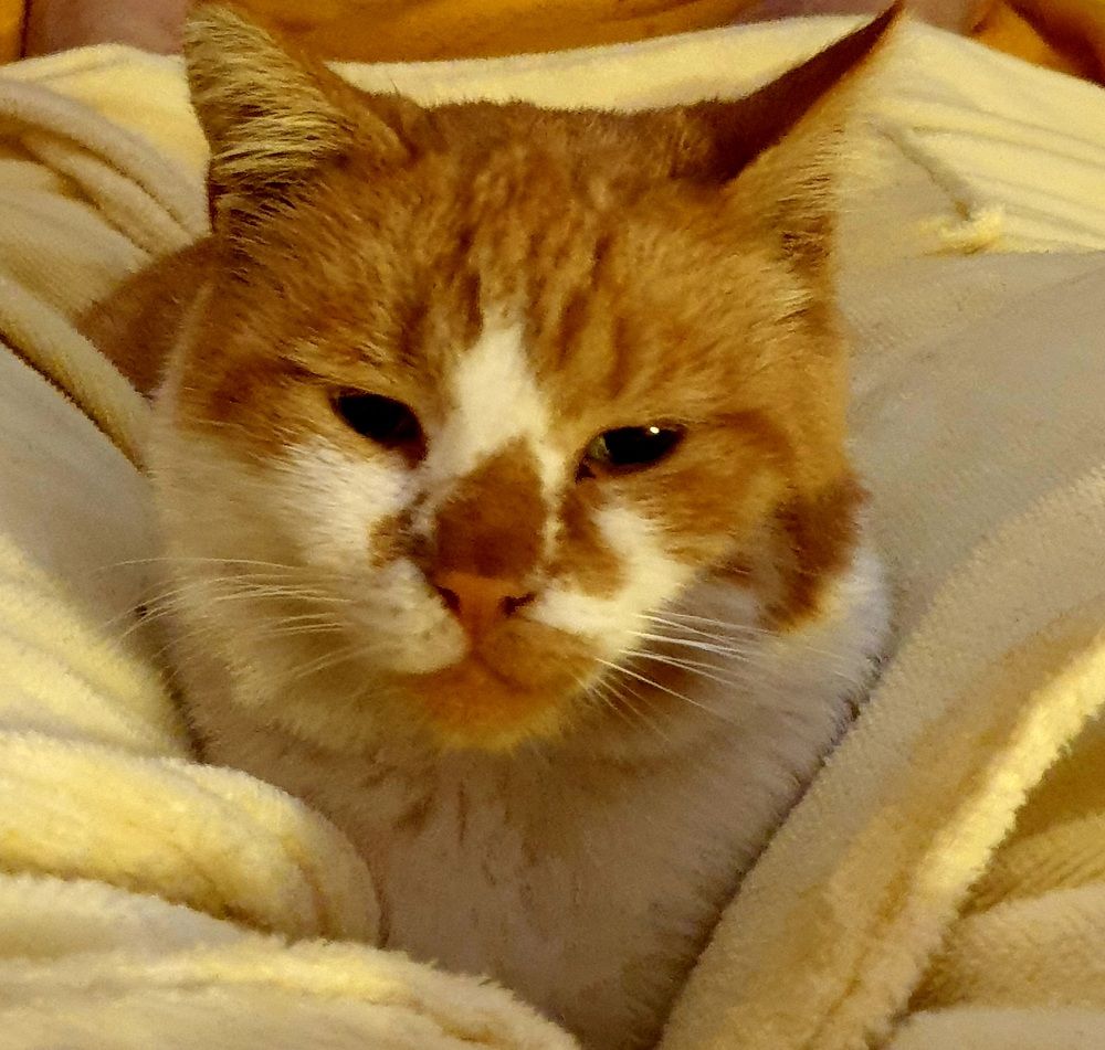 Photograph by Сергей Мамалюк