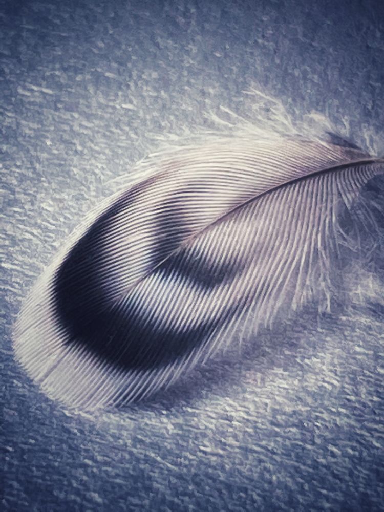 Photograph by Ольга Скиба