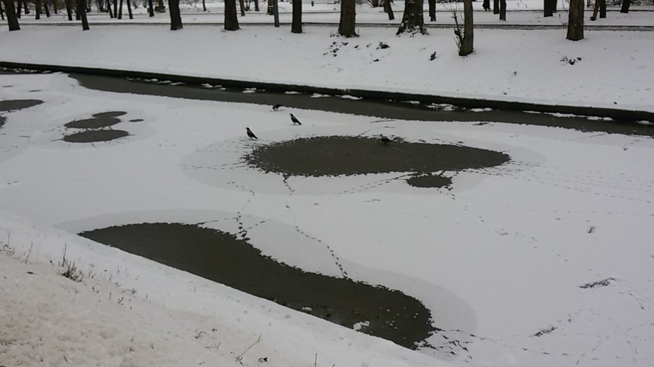 Оттепель в городском парке