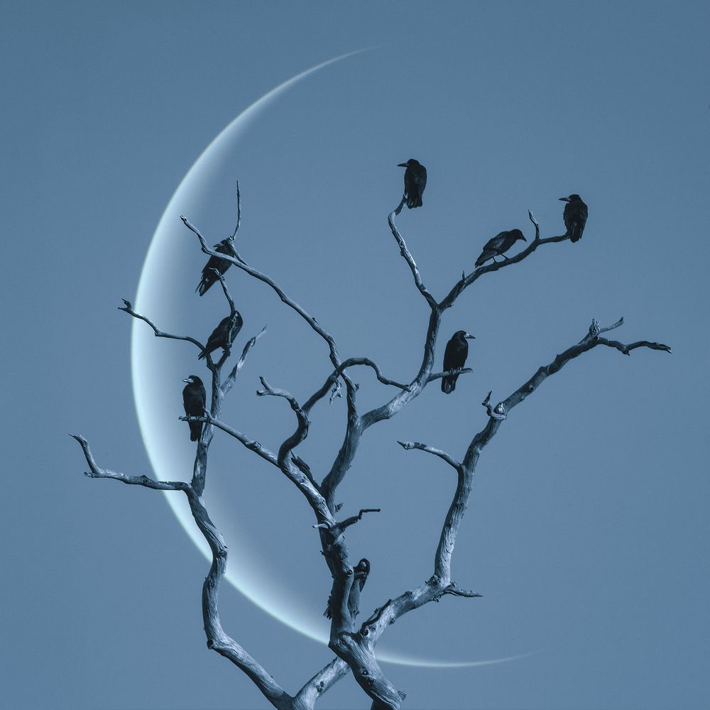 Photograph by ARTUR SZCZESZEK