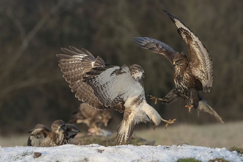 Photograph by Ernestas Balcikonis