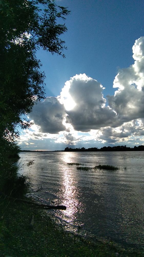 Photo #5609867