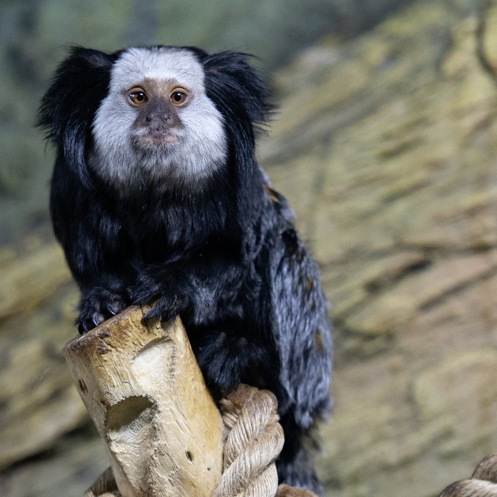 Photograph by Екатерина Кицмен