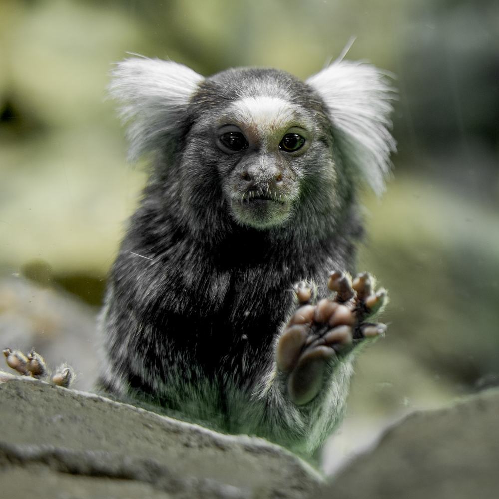 Photograph by Екатерина Кицмен