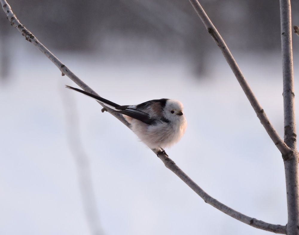 Photograph by Александр Захаров