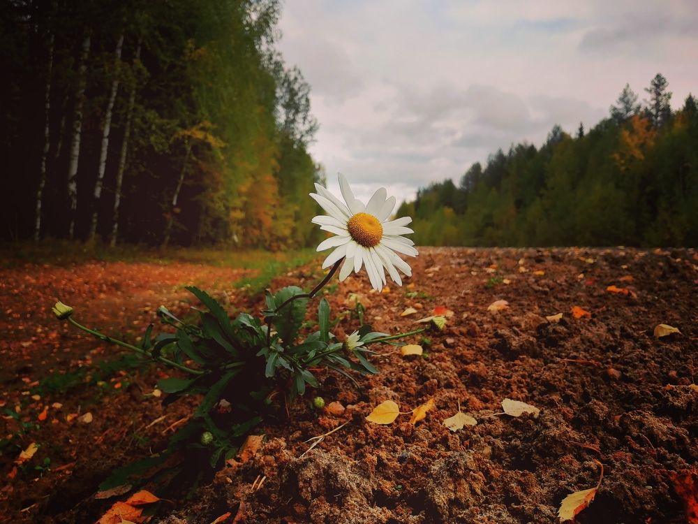 Photograph by Наталья Удоратина