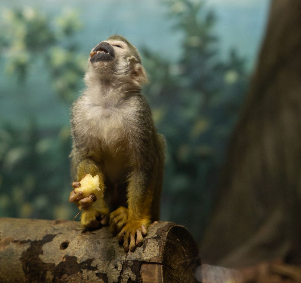 Photograph by Екатерина Кицмен