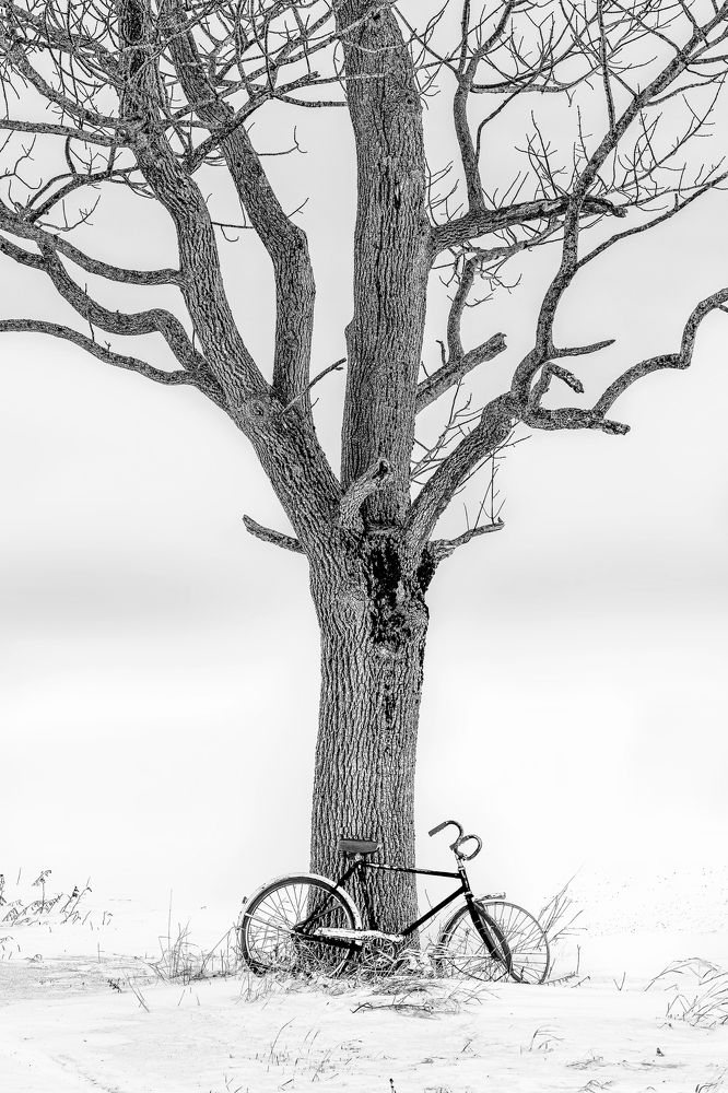 Photograph by Marc-Alain Ferragne