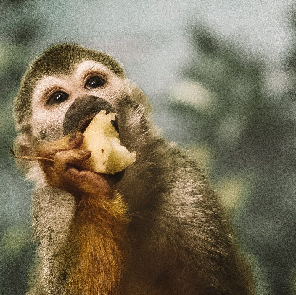 Photograph by Екатерина Кицмен