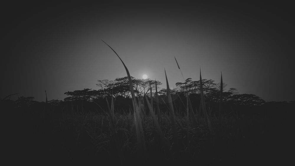 Night Natural Beauty of Bangladesh