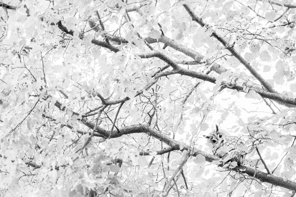 Photograph by Ксения Соварцева