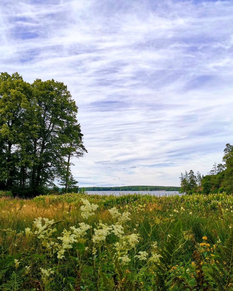 Photograph by Юлия Ледовская