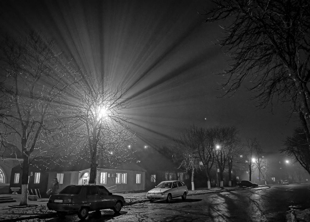 Photograph by Алексей Фастовец