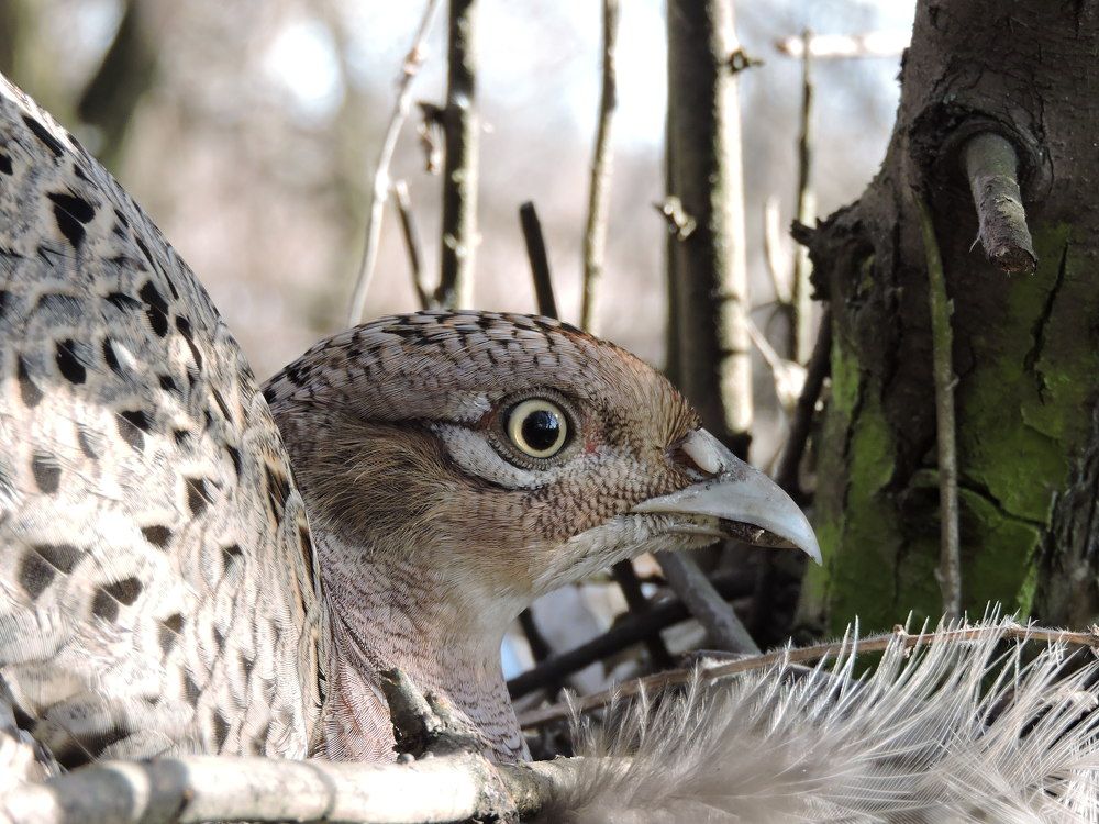 Photograph by Александр Захаров